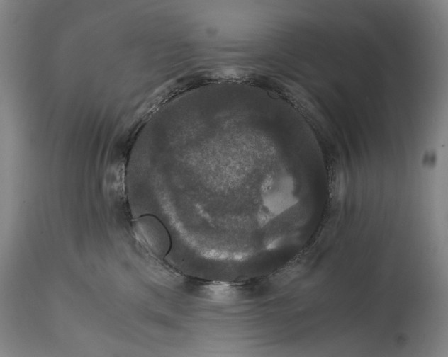 X0000114640425200911101302