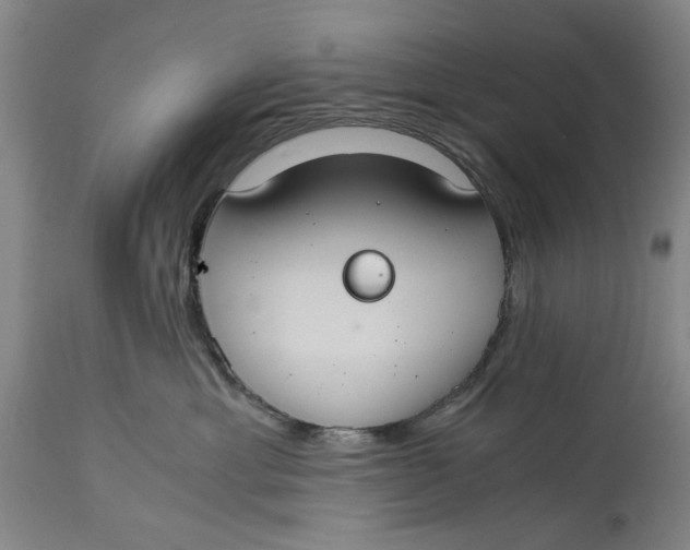 X0000114640429200911101302