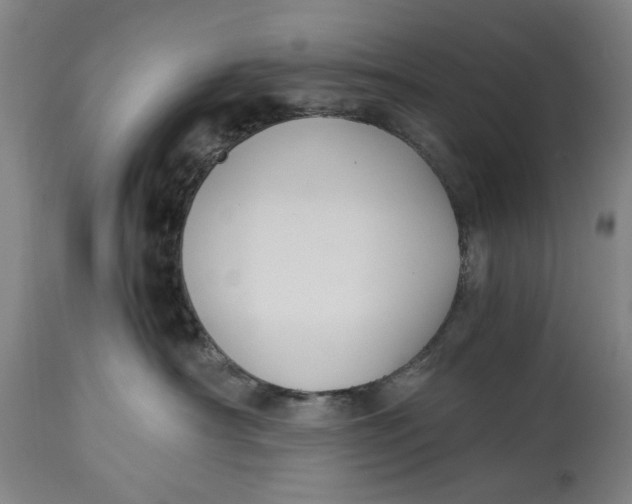 X0000114640430200911101302