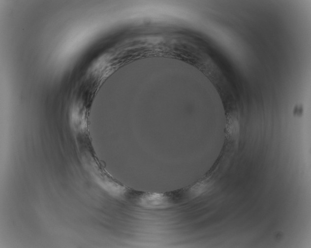 X0000114640431200911101302