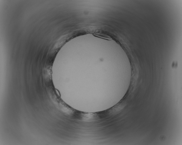 X0000114640432200911101302