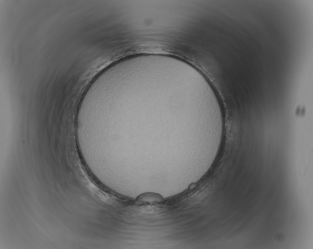 X0000114640433200911101301