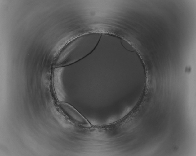 X0000114640434200911101301