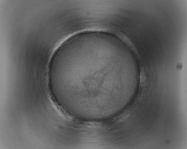 X0000114640436200911101301