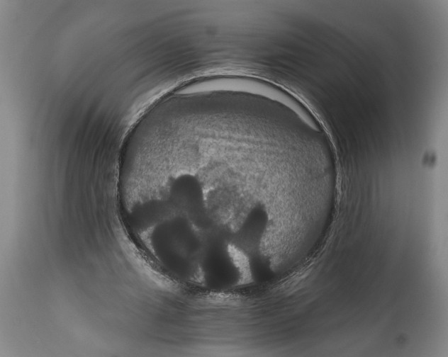 X0000114640437200911101301