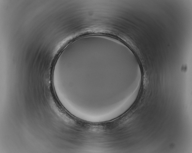 X0000114640438200911101302