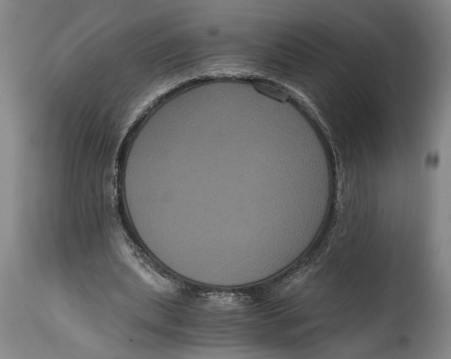 X0000114640439200911101302