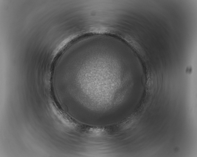X0000114640440200911101302