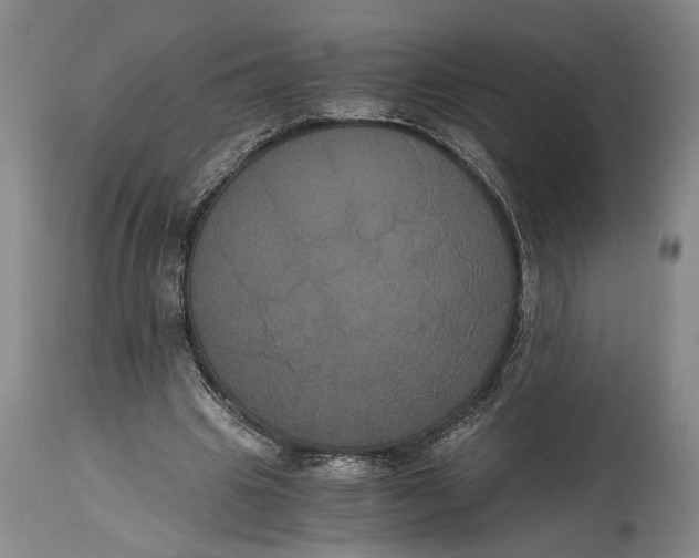 X0000114640441200911101302