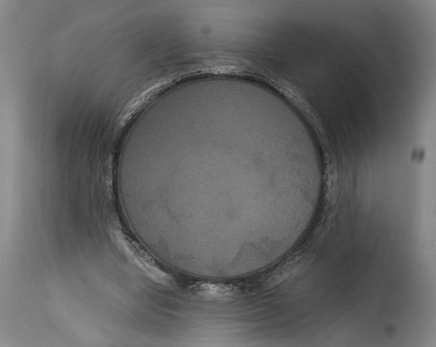 X0000114640442200911101302