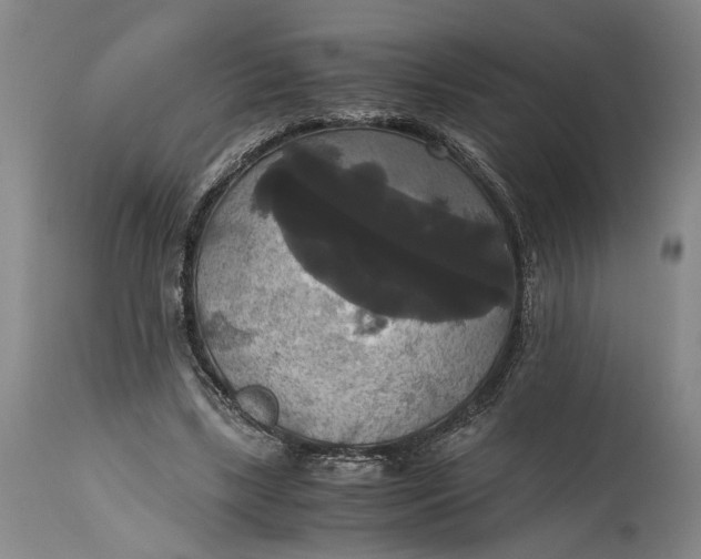 X0000114640443200911101302
