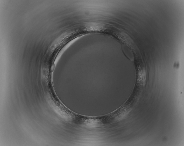 X0000114640444200911101302
