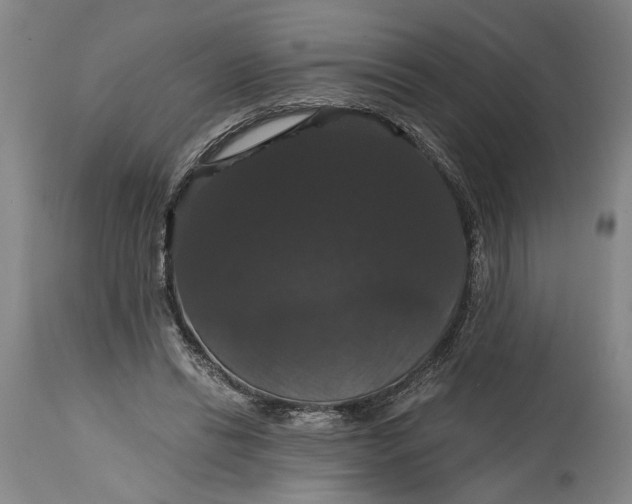 X0000114640446200911101302