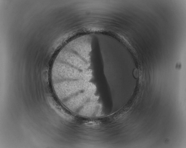 X0000114640447200911101302