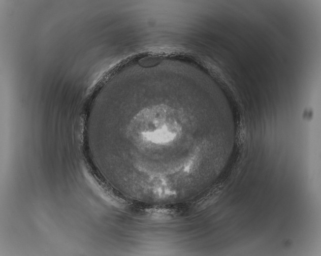 X0000114640448200911101302