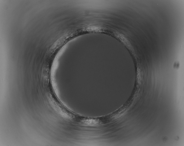 X0000114640449200911101302