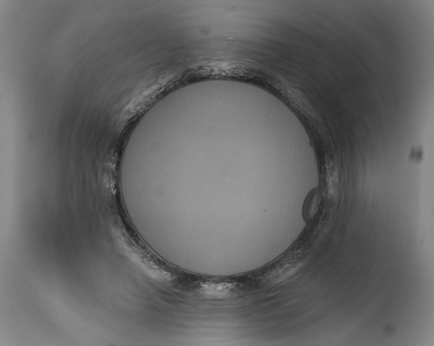 X0000114640450200911101302