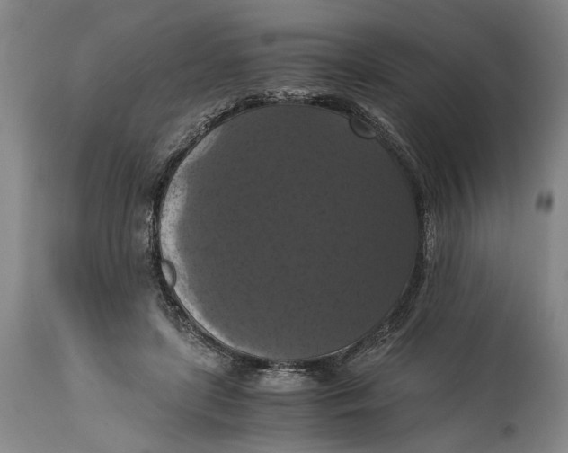 X0000114640451200911101302