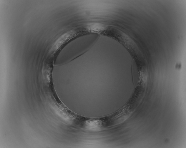 X0000114640452200911101302