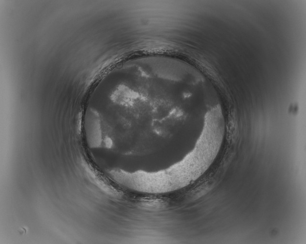 X0000114640454200911101302