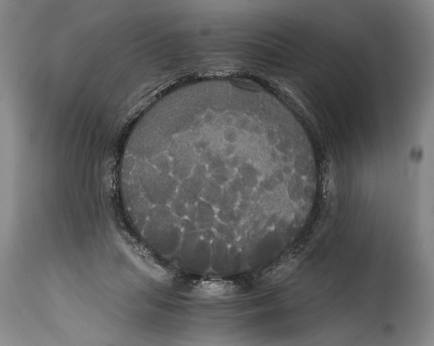 X0000114640455200911101302
