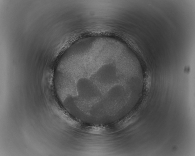 X0000114640458200911101302