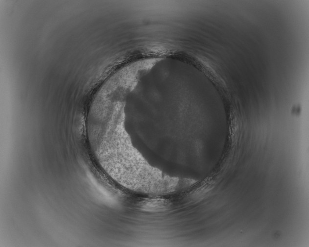 X0000114640459200911101302
