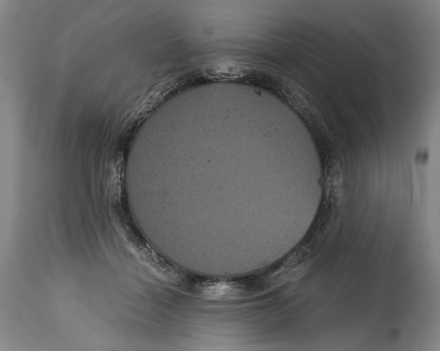 X0000114640460200911101302