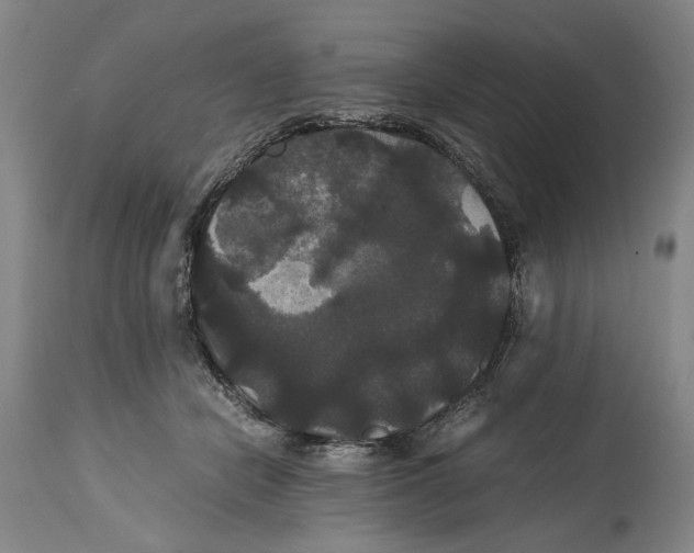 X0000114640462200911101302