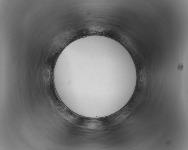 X0000114640463200911101302