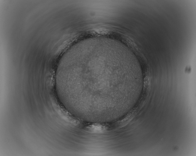 X0000114640464200911101302