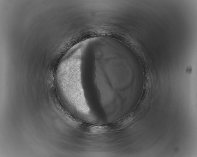 X0000114640465200911101302