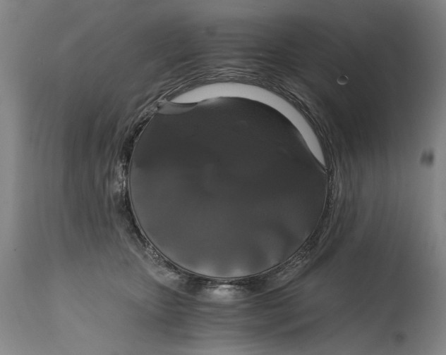 X0000114640467200911101302