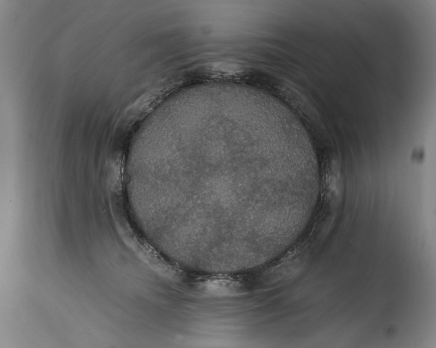 X0000114640468200911101302