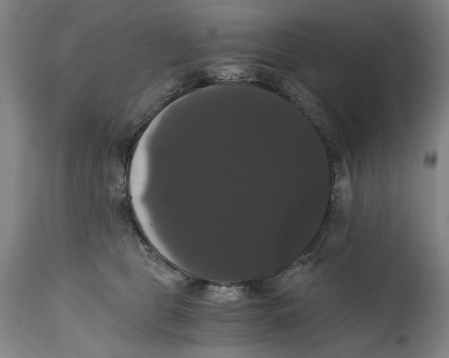 X0000114640469200911101302