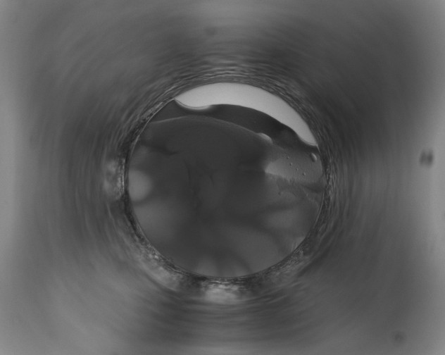 X0000114640471200911101302