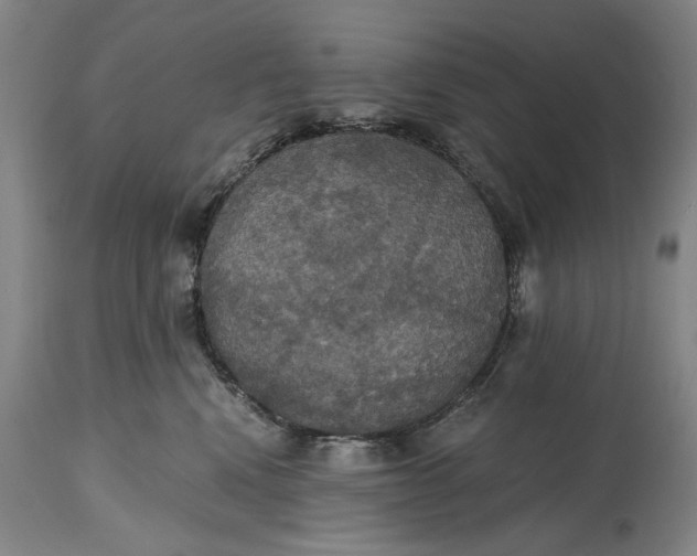 X0000114640472200911101302