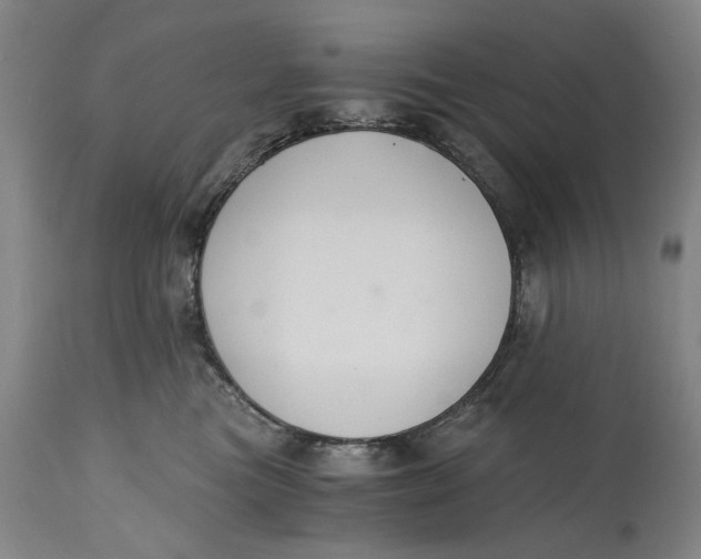 X0000114640473200911101302
