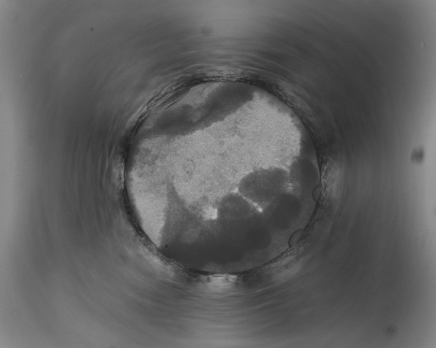 X0000114640474200911101302