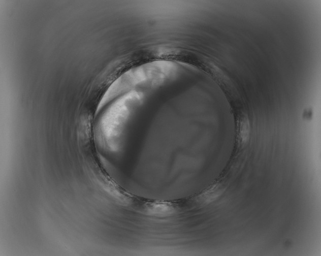 X0000114640475200911101302