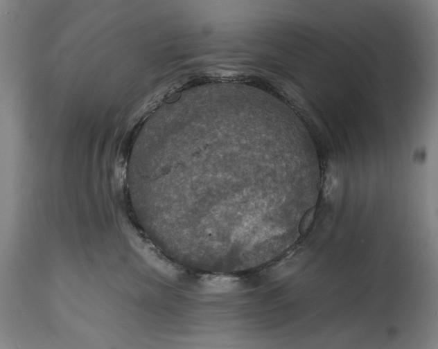X0000114640476200911101302
