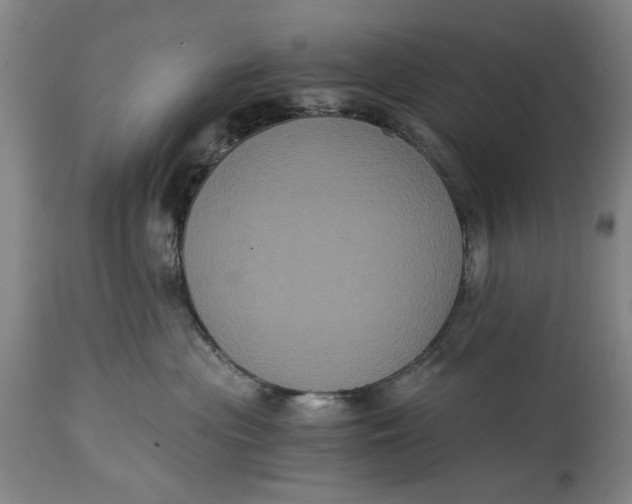 X0000114640477200911101302