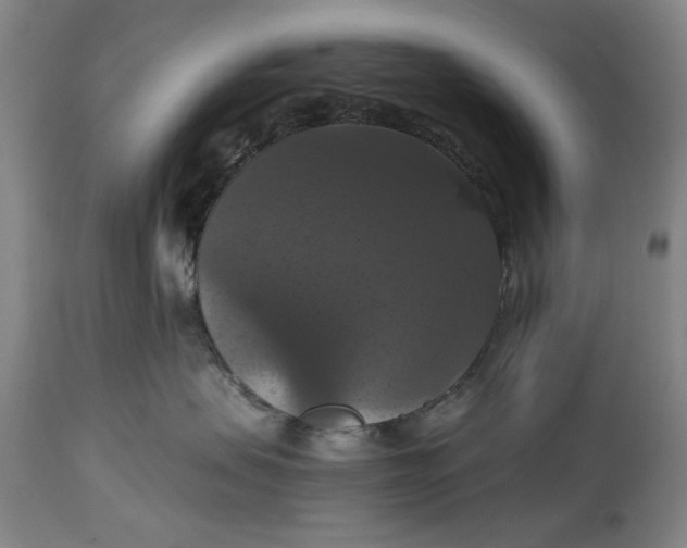 X0000114640479200911101302