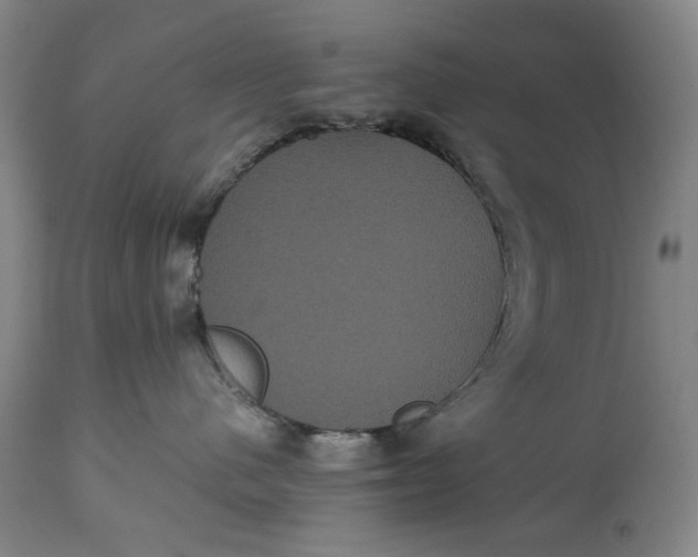 X0000114640480200911101302
