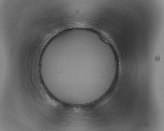 X0000114640481200911101301