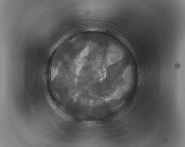 X0000114640482200911101301