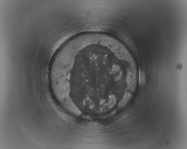 X0000114640483200911101301