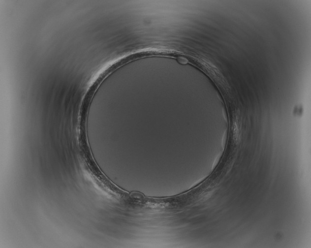 X0000114640484200911101301
