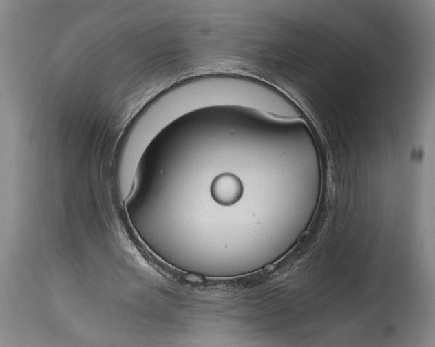 X0000114640485200911101301