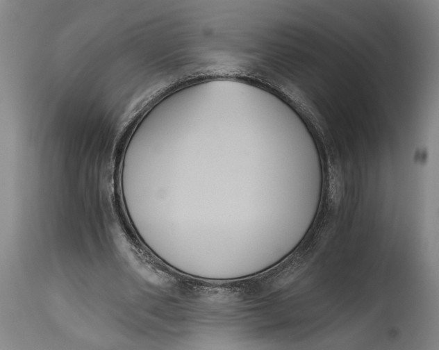 X0000114640486200911101301